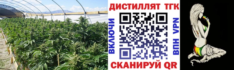 ТГК концентрат  Купить закладки  Александров 