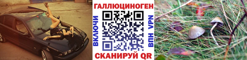 Галлюциногенные грибы мицелий  Купить  Александров 